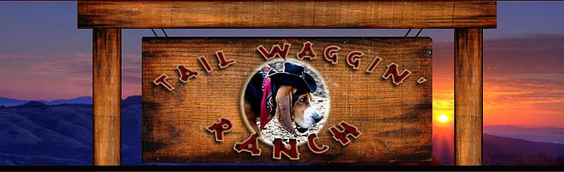 Tail Waggin Ranch