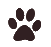 paw